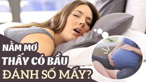 Mơ có bầu