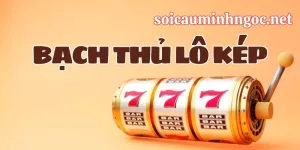 Bạch Thủ Lô Kép Là Gì?