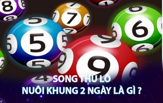 <strong>Song thủ lô nuôi khung 2 ngày</strong>
