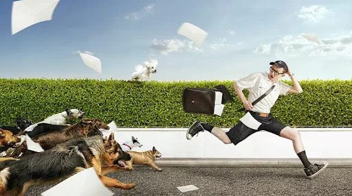 Giải mã tâm linh: Nằm mơ bị chó cắn có ý nghĩa gì?