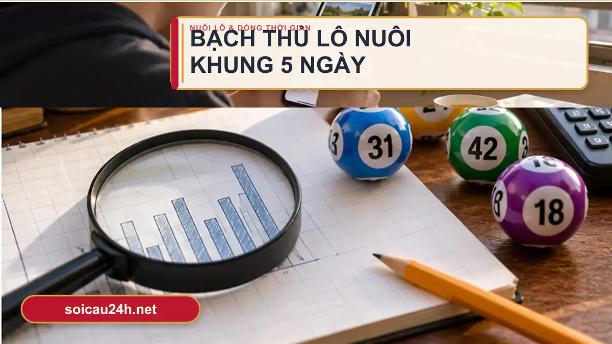 Minh họa bạch thủ lô nuôi khung 5 ngày theo phong cách xổ số Việt Nam.