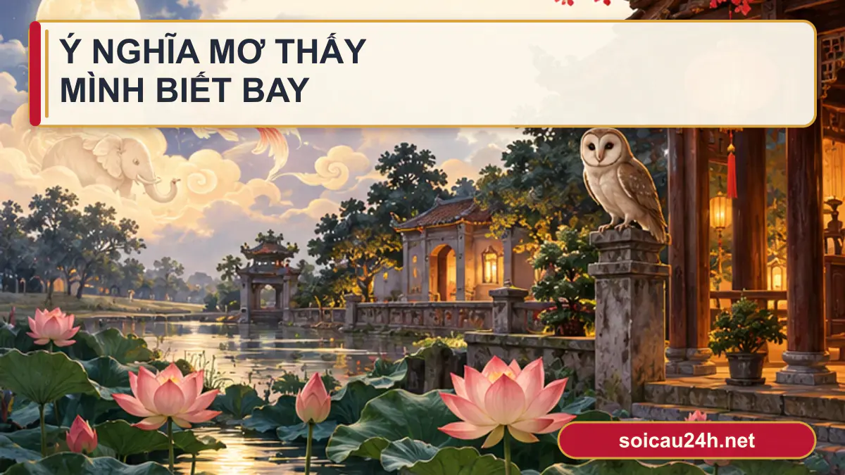 Minh họa ý nghĩa mơ thấy mình biết bay theo phong cách xổ số Việt Nam.