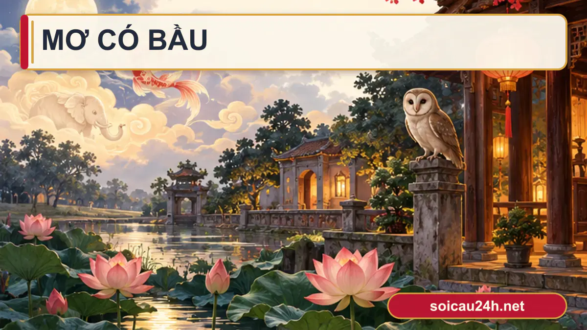 Minh họa mơ có bầu theo phong cách xổ số Việt Nam.