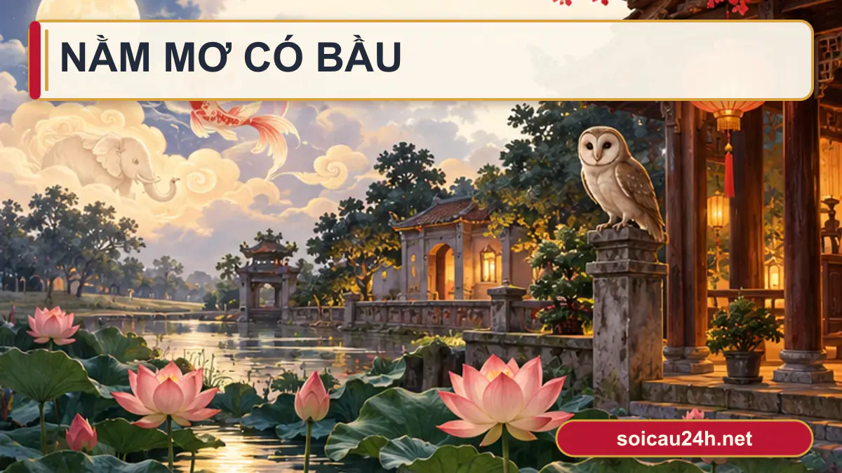 Minh họa nằm Mơ Có Bầu theo phong cách xổ số Việt Nam.